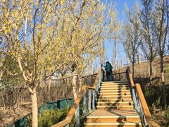 -东郊湿地公园