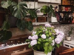 -懒鱼时光馆(沙坪坝店)