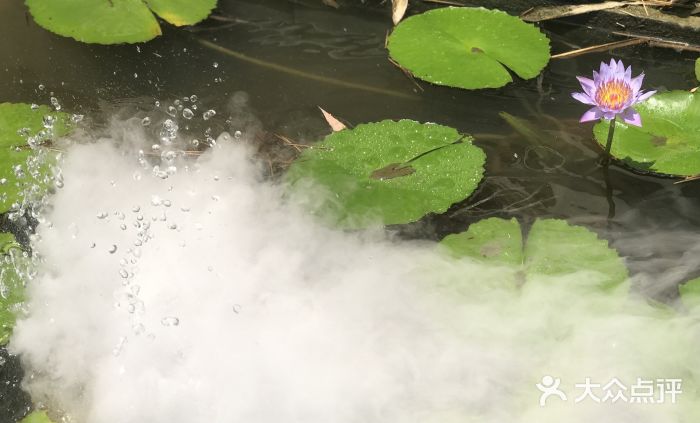 放鹰台遗址图片