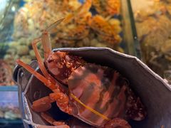 -上隐水产海鲜刺身自助餐(淮海百盛店)