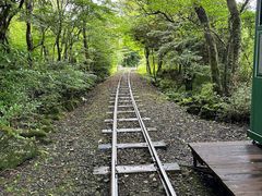 -济州森林小火车生态公园