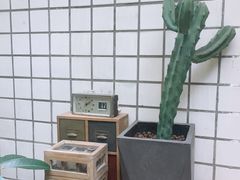 -懒鱼时光馆(沙坪坝店)
