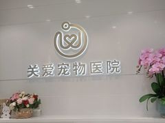 -关爱宠物医院·猫科中心·消化科(滨湖万达分院)