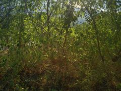 -涂山风景区