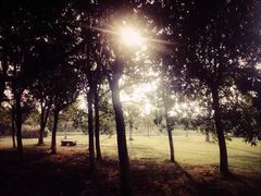 -艾溪湖湿地公园