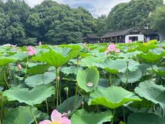 -兰亭风景区