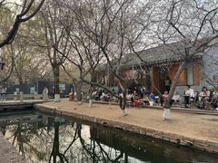 -春风习习