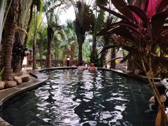 -罗浮山嘉宝田森林温泉度假酒店