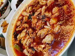 -眉州东坡(国贸店)