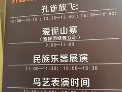 -西双版纳原始森林公园