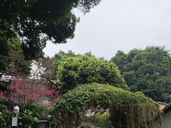 -乌山风景区