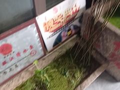 -颜氏双江清水鱼一养身火锅(磁器口店)