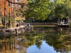 -人民公园-相亲角