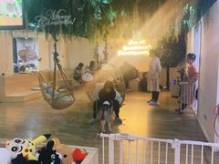-Husky Go! 哈士奇体验馆·宠物咖啡厅狗咖