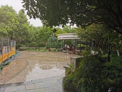 -大关公园