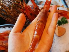 -枫千叶精致料理