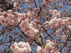 -石岛赤山风景区