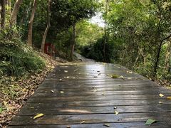 -上海佘山国家森林公园西佘山园