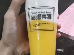 椰皇add芒果-桐园果汇(湖贝店)