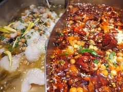 -舒来喜鱼锅(伊河路店)