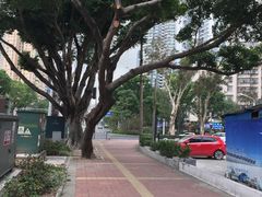 -情侣路