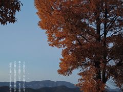 -丽江泸沽湖景区