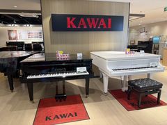 -柏斯音乐艺术中心·钢琴·吉他(上音店)