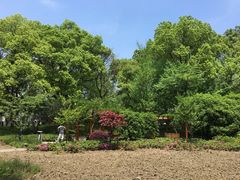 -徐家汇源景区-衡山公园