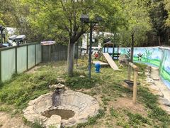 -栾川竹海野生动物园