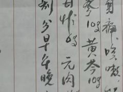 -北京同仁堂(四川中路店)