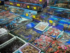 -霞涌市场海鲜摆卖区
