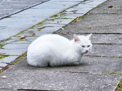 -敬亭山风景名胜区