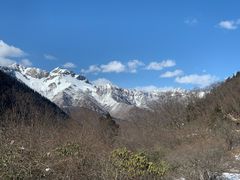 -黄龙山原始森林景区
