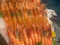 -大葉日本料理·龍蝦任食放題(廣州W酒店)