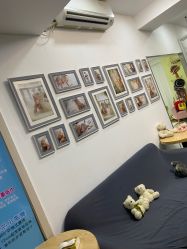 -憨大叔韩式儿童摄影(浦东新区店)