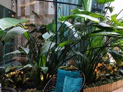 -青岛海尔洲际酒店