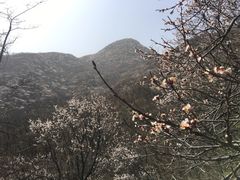 -阳台山自然风景区