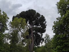 -丽池公园