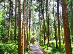 -狼山风景名胜区