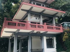 -上海市保健医疗中心