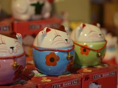 -猫咪博物馆(顶澳仔猫街店)