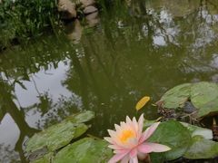 -人民公园(罗湖区)