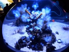 -瑞普利水族馆