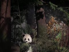 -湖南省地质博物馆