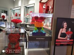 -ROSEONLY诺誓(广州K11店)