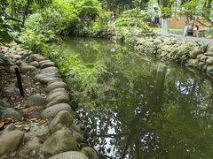 -成都市活水公园