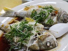 -稻香酒家·35年老字号(侨光店)