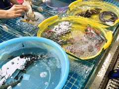 -板桥海鲜广场(文明东店)