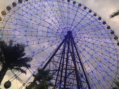 -三亚海昌梦幻海洋不夜城