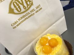 -COVA(上海K11艺术中心店)